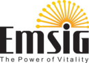 امسیگ EMSIG